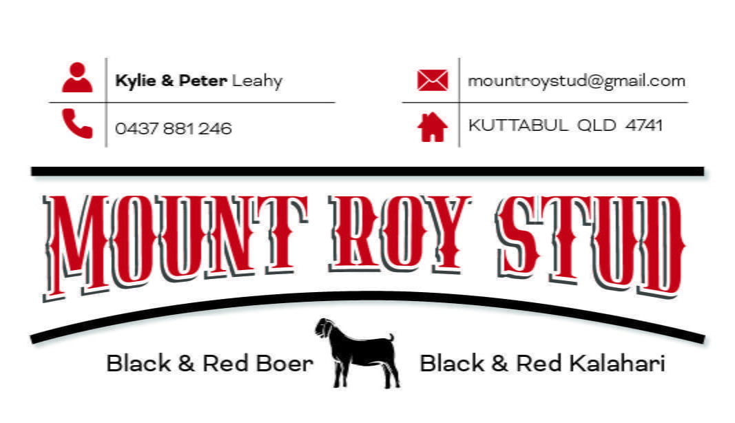 Business Card Mt Roy Stud back